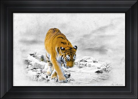 Framed King Tiger Print