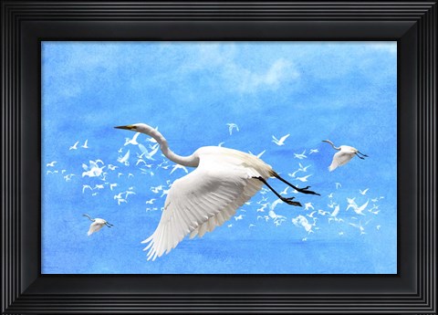 Framed White Birds And Blue Sky Print