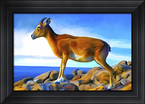 Framed Wild Life 2 Print