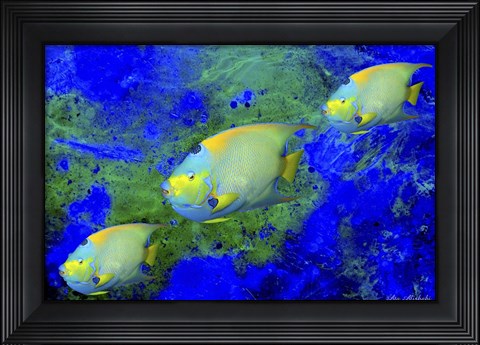 Framed Fish Art 1 Print