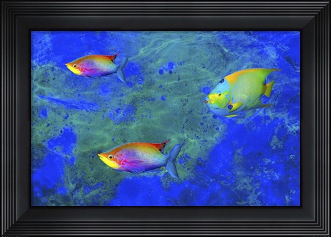 Framed Fish Art 2 Print