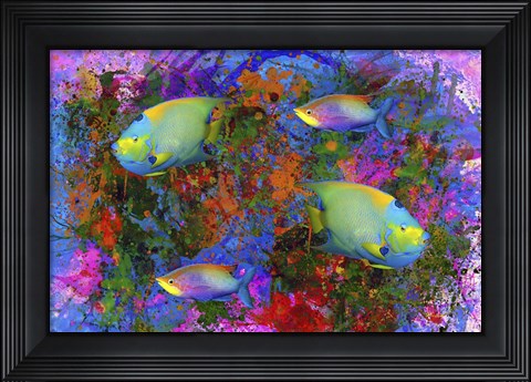 Framed Fish Art 3 Print