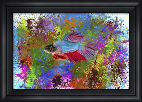Framed Fish Art 5 Print