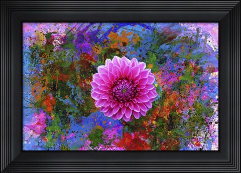 Framed Flower Design 7G Print