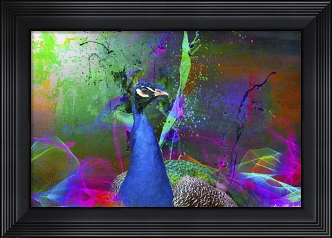 Framed Color Explosion CM7 Print