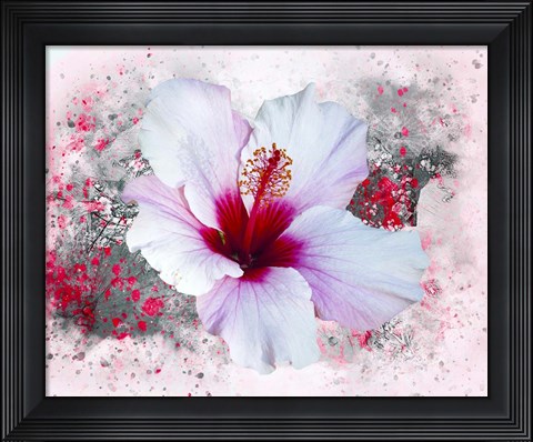 Framed Flower Design 6MN Print