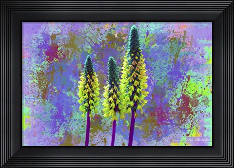 Framed Flower Design H52 Print