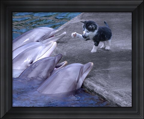 Framed Kitty Kitty Print