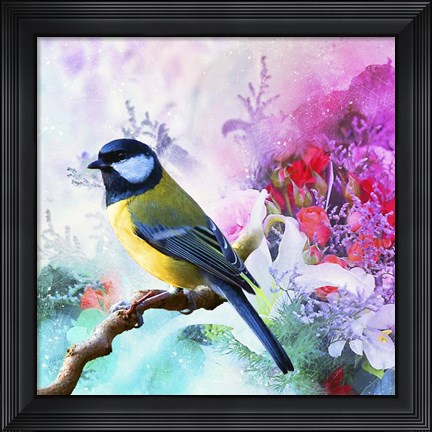 Framed Bird Collection 1 Print