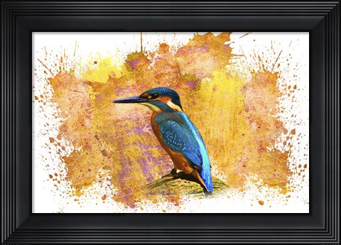 Framed Bird Collection 2 Print