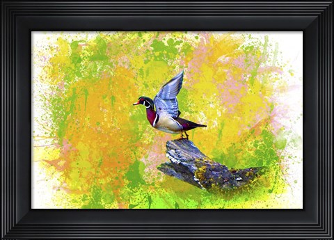 Framed Bird Collection 3 Print