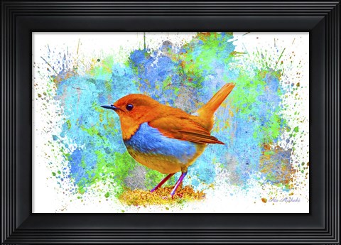 Framed Bird Collection 4 Print