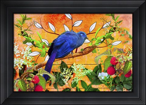Framed Bird Collection 5 Print