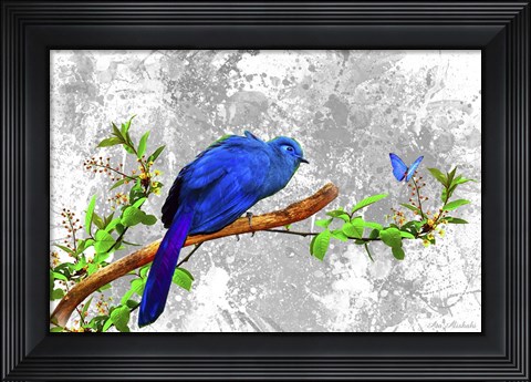 Framed Bird Collection 6 Print