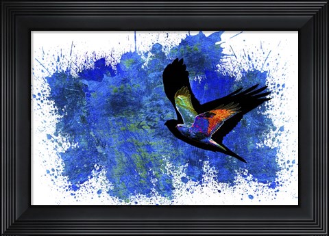 Framed Bird Collection 9 Print