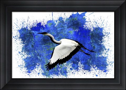 Framed Bird Collection 10 Print