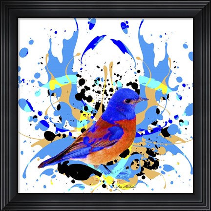 Framed Bird Collection 13 Print
