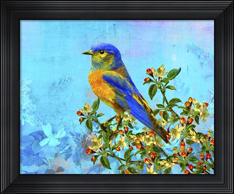 Framed Bird Collection 15 Print