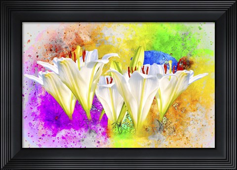 Framed Flower Design 11MA Print
