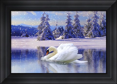 Framed Swan Winter Print