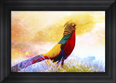 Framed Bird Collection 20 Print