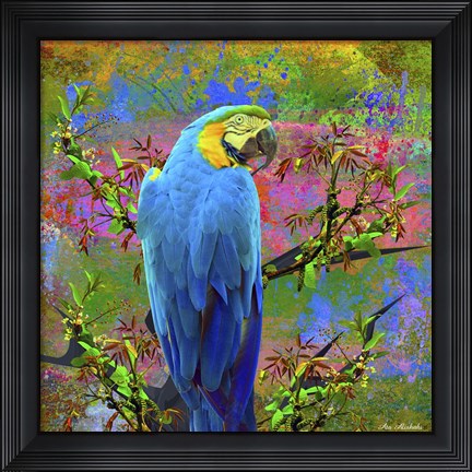 Framed Bird Collection 24 Print