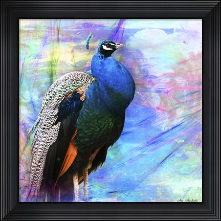 Framed Bird Collection 25 Print