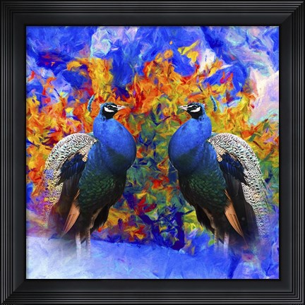 Framed Bird Collection 26 Print