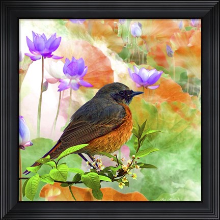 Framed Bird Collection 30 Print