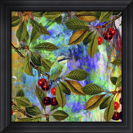 Framed Bird Collection 31 Print