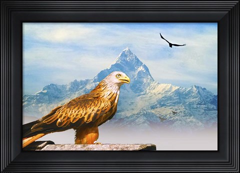 Framed Bird Collection 34 Print
