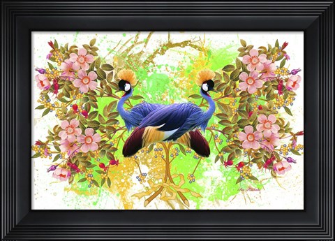 Framed Bird Collection 36 Print