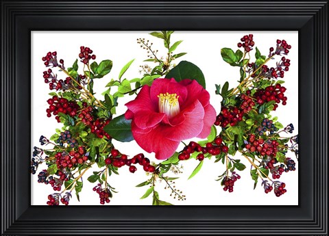 Framed Flower Design K4 Print