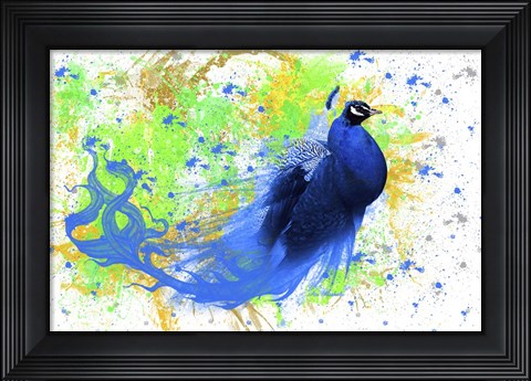 Framed Peacock Tail Print