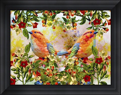 Framed Twin Birds K7 Print