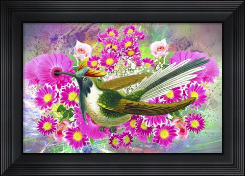 Framed Bird Collection 40 Print