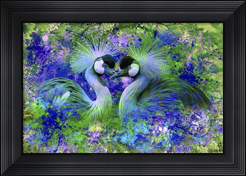 Framed Bird Collection 40SEP3 Print