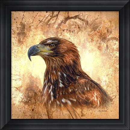 Framed Eagle Portrait Print