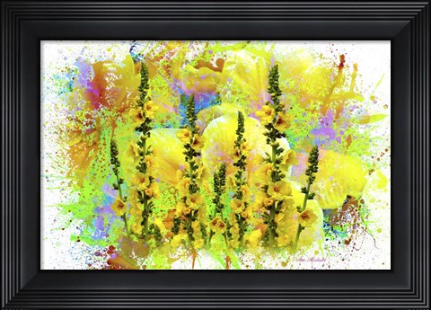 Framed Flowers Explosion SEP1 Print