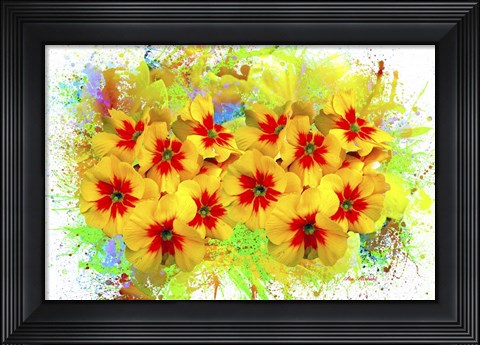 Framed Flowers Explosion SEP2 Print