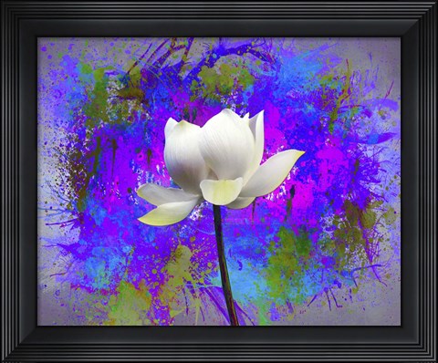 Framed Flowers Explosion SEP3 Print