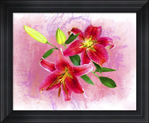 Framed Flowers Explosion SEP4 Print