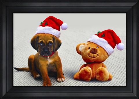 Framed Puppy and Teddy Print