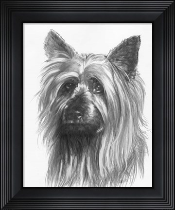 Framed Winsome Print