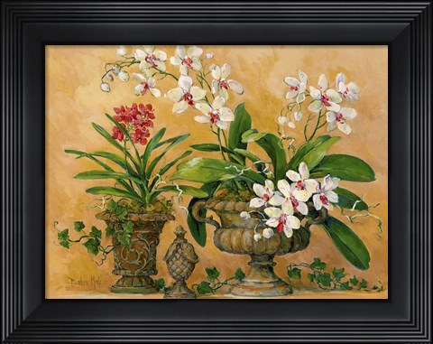 Framed Orchid Renaissance Print