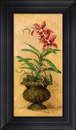 Framed Orchid Revival I Print