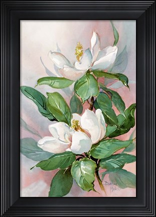 Framed Classic Magnolia A Print