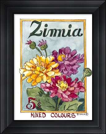 Framed Mixed Colors Zinnia-Seed Packet Print
