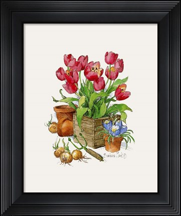 Framed Tulips in Bloom Print