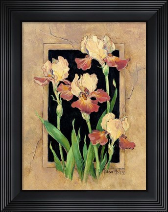 Framed Framed Iris Print